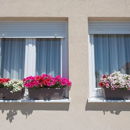 Apartman Frape
